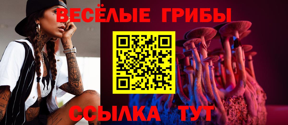 Псилоцибиновые грибы Psilocybe  Псилоцибиновые грибы мицелий  Вход с VPN  Братск 